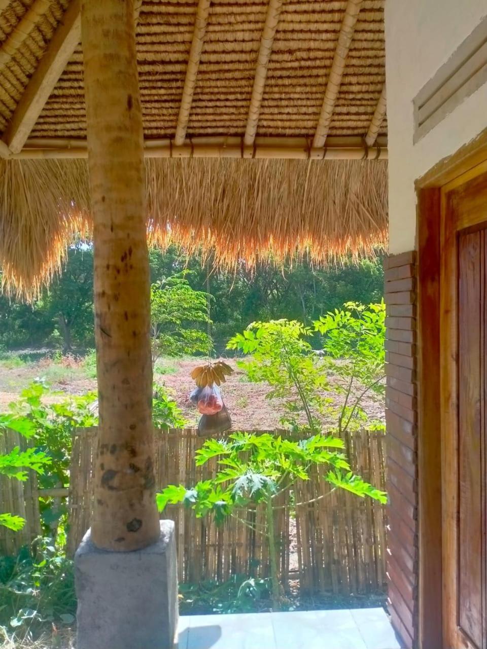 Melody Surf - Ekas Lombok Hotel Exterior foto