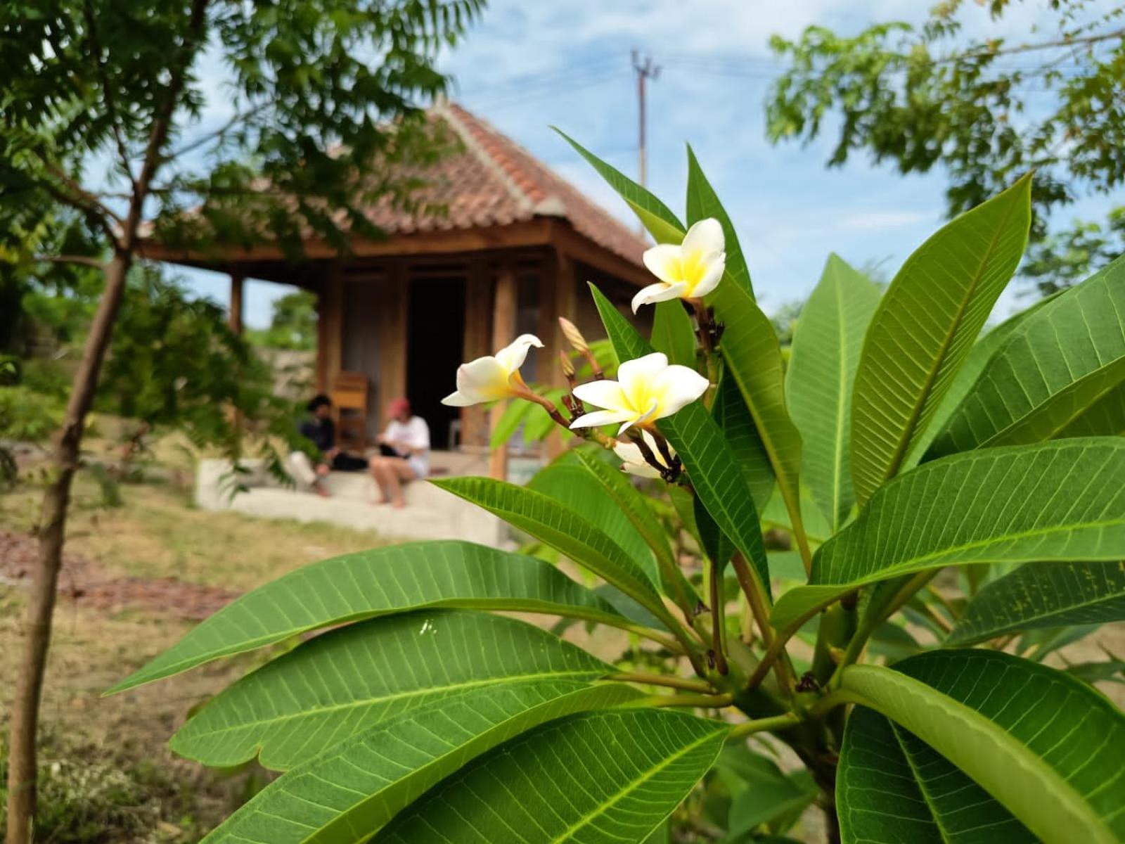 Melody Surf - Ekas Lombok Hotel Exterior foto